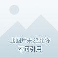 反腐之殇