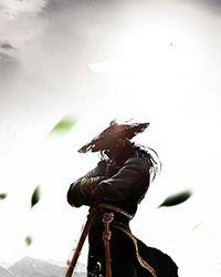 [综武侠] 美人兔兔天下第一