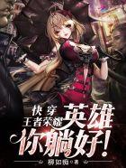 快穿王者荣耀:英雄,你躺好!