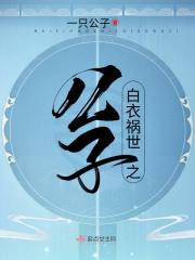 白衣祸世之公子